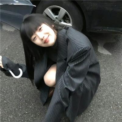 漂亮马驹